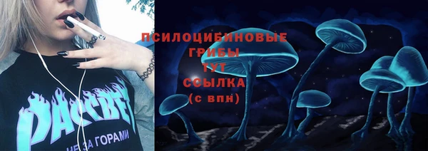 дживик Вяземский