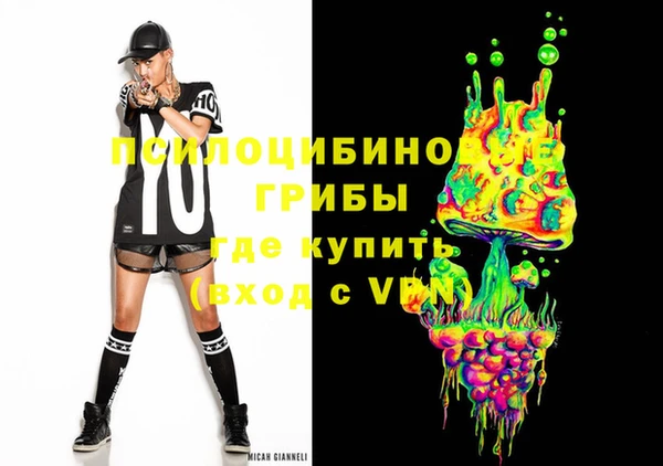 соль ск Вязьма