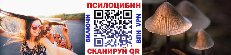 Псилоцибиновые грибы мицелий  где купить наркотик  Мариинск 