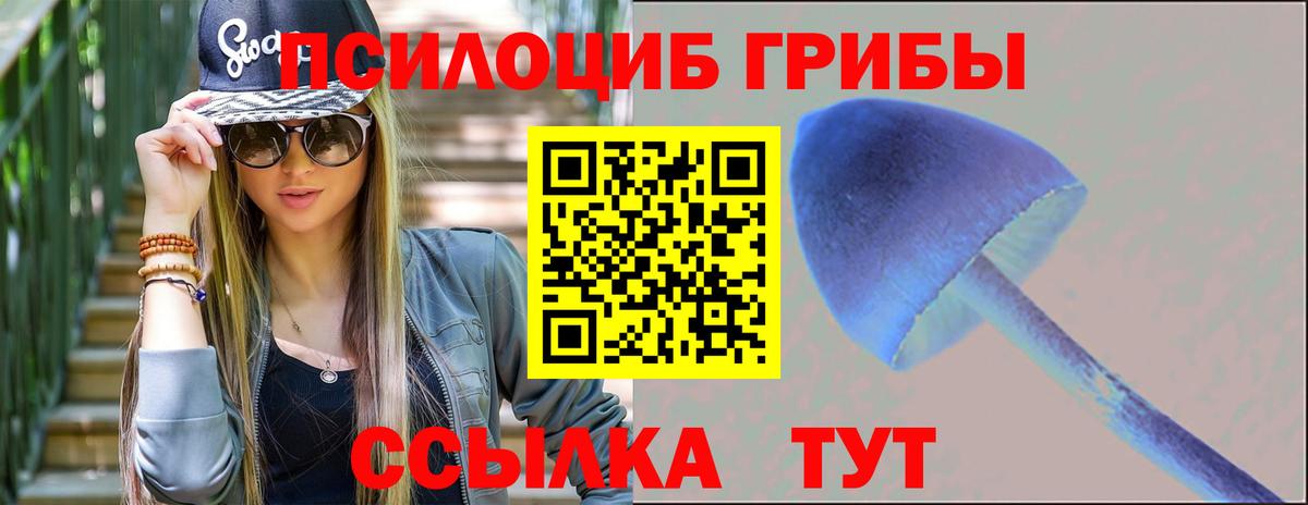 Мариинск  Псилоцибиновые грибы MAGIC MUSHROOMS  Вход с VPN 